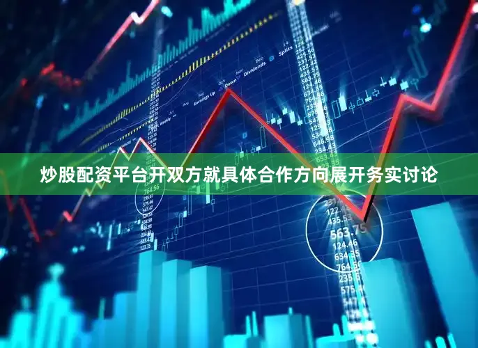 炒股配资平台开双方就具体合作方向展开务实讨论